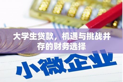 成华大学生贷款，机遇与挑战并存的财务选择