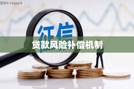 成华贷款风险补偿机制