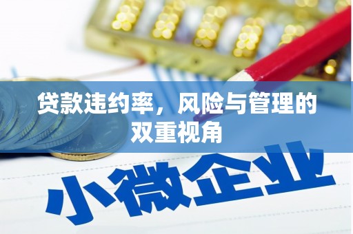 成华贷款违约率，风险与管理的双重视角