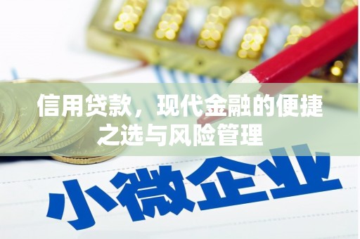 成华信用贷款，现代金融的便捷之选与风险管理