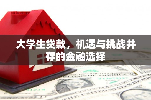 成华大学生贷款，机遇与挑战并存的金融选择