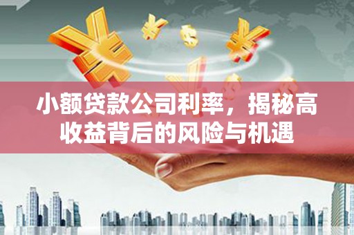 成华小额贷款公司利率，揭秘高收益背后的风险与机遇