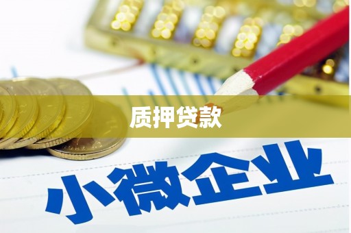 成华质押贷款