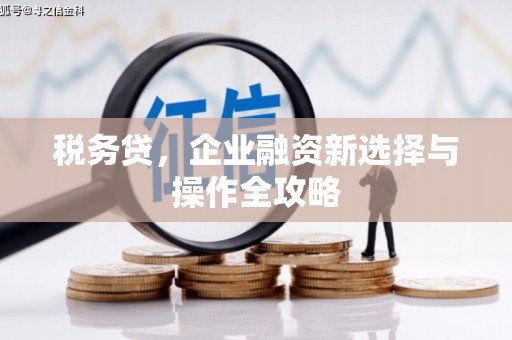 成华税务贷，企业融资新选择与操作全攻略