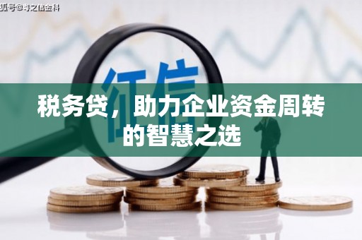 成华税务贷，助力企业资金周转的智慧之选