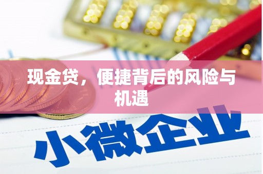 成华现金贷，便捷背后的风险与机遇
