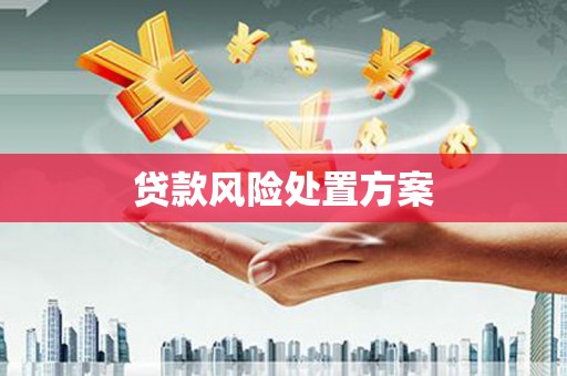 成华贷款风险处置方案