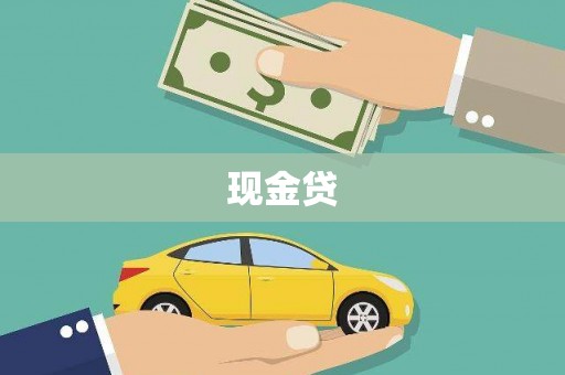 成华现金贷
