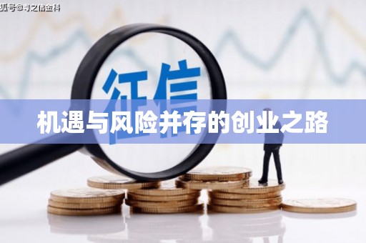 成华机遇与风险并存的创业之路