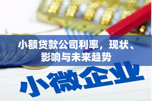 成华小额贷款公司利率，现状、影响与未来趋势