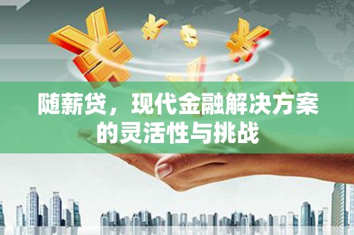 成华随薪贷，现代金融解决方案的灵活性与挑战