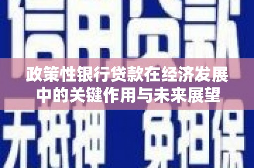 成华政策性银行贷款在经济发展中的关键作用与未来展望