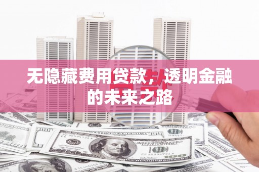 成华无隐藏费用贷款，透明金融的未来之路