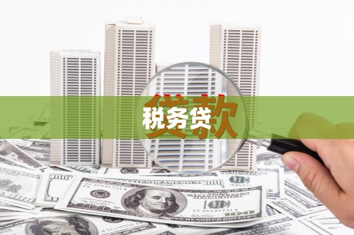 成华税务贷