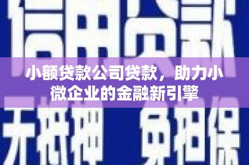 成华小额贷款公司贷款，助力小微企业的金融新引擎