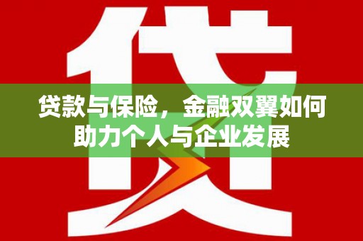 成华贷款与保险，金融双翼如何助力个人与企业发展