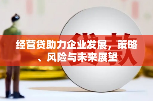成华经营贷助力企业发展，策略、风险与未来展望