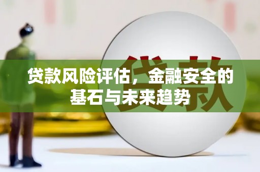 成华贷款风险评估，金融安全的基石与未来趋势