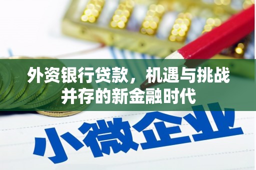 成华外资银行贷款，机遇与挑战并存的新金融时代