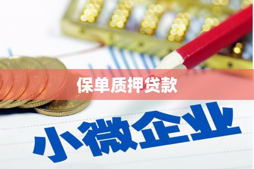 成华保单质押贷款