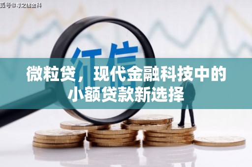 成华微粒贷，现代金融科技中的小额贷款新选择