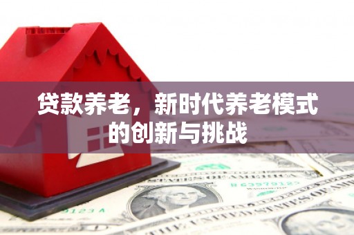 成华贷款养老，新时代养老模式的创新与挑战