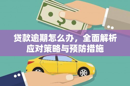 成华贷款逾期怎么办，全面解析应对策略与预防措施