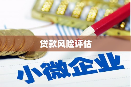 成华贷款风险评估