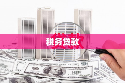 成华税务贷款