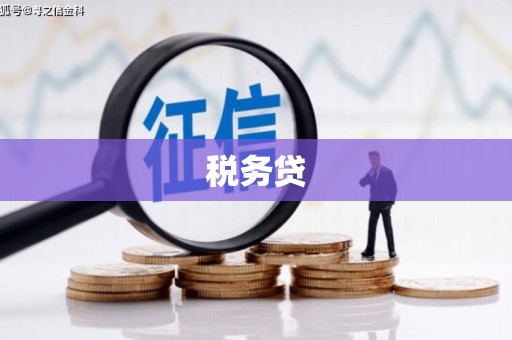 成华税务贷