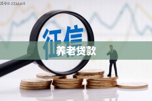 成华养老贷款