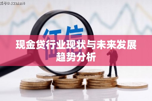 成华现金贷行业现状与未来发展趋势分析