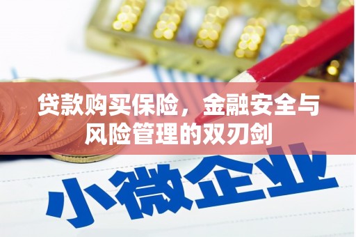 成华贷款购买保险，金融安全与风险管理的双刃剑