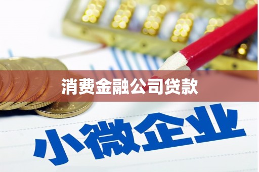 成华消费金融公司贷款