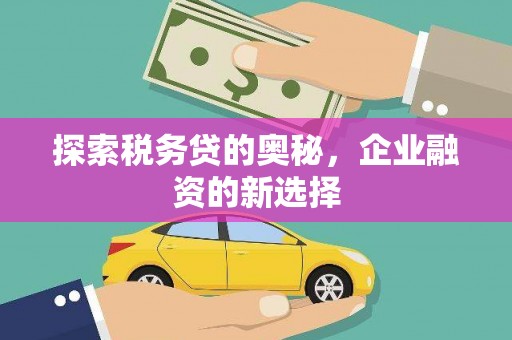 成华探索税务贷的奥秘，企业融资的新选择