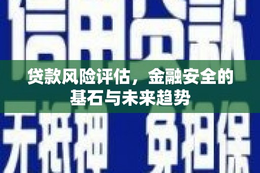 成华贷款风险评估，金融安全的基石与未来趋势