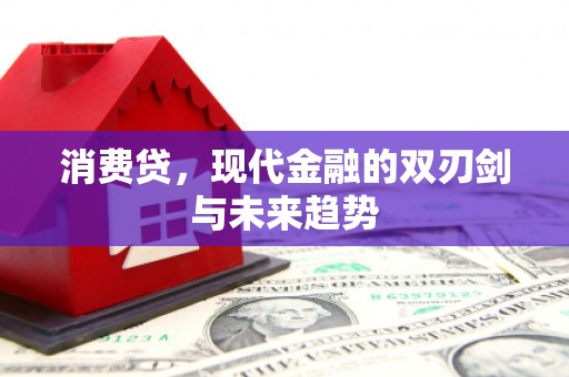 成华消费贷，现代金融的双刃剑与未来趋势