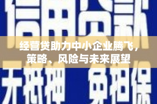 成华经营贷助力中小企业腾飞，策略、风险与未来展望