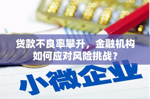 成华贷款不良率攀升，金融机构如何应对风险挑战？
