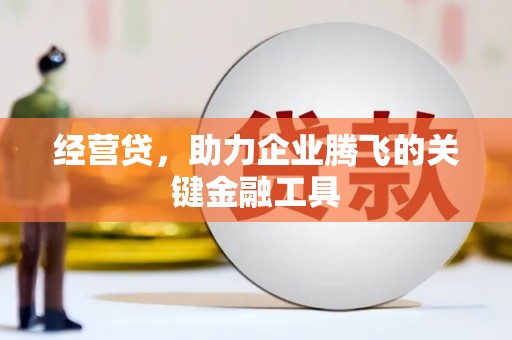 成华经营贷，助力企业腾飞的关键金融工具