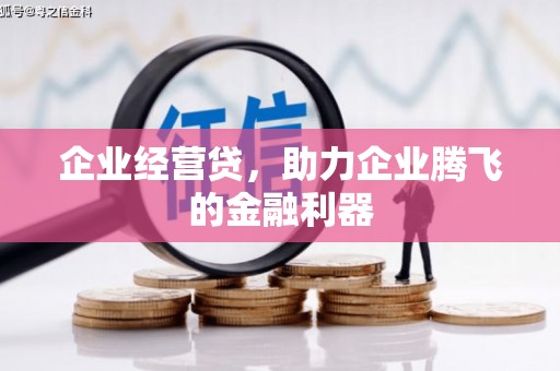 成华企业经营贷，助力企业腾飞的金融利器