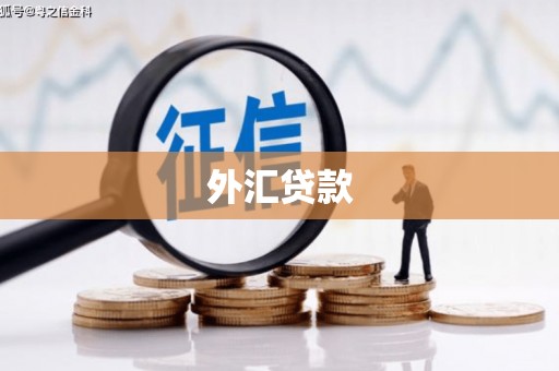 成华外汇贷款