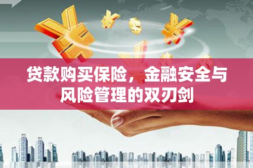 成华贷款购买保险，金融安全与风险管理的双刃剑