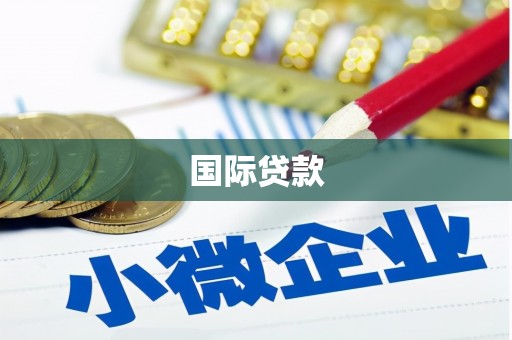成华国际贷款