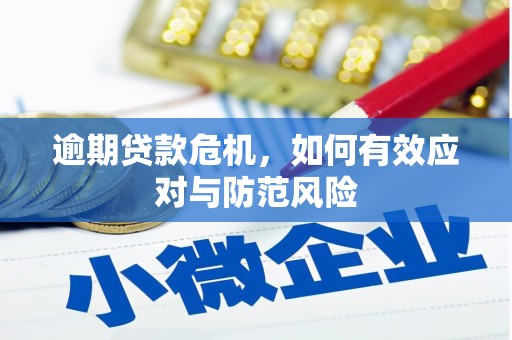 成华逾期贷款危机，如何有效应对与防范风险