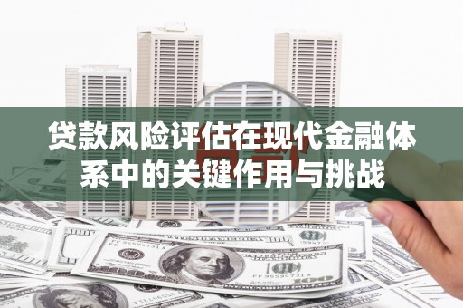 成华贷款风险评估在现代金融体系中的关键作用与挑战