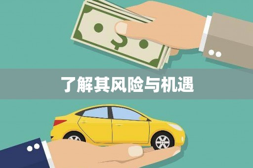 成华了解其风险与机遇