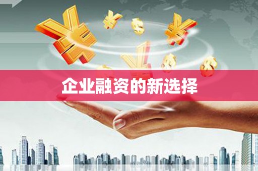 成华企业融资的新选择