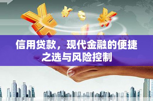 成华信用贷款，现代金融的便捷之选与风险控制