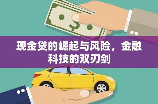 成华现金贷的崛起与风险，金融科技的双刃剑